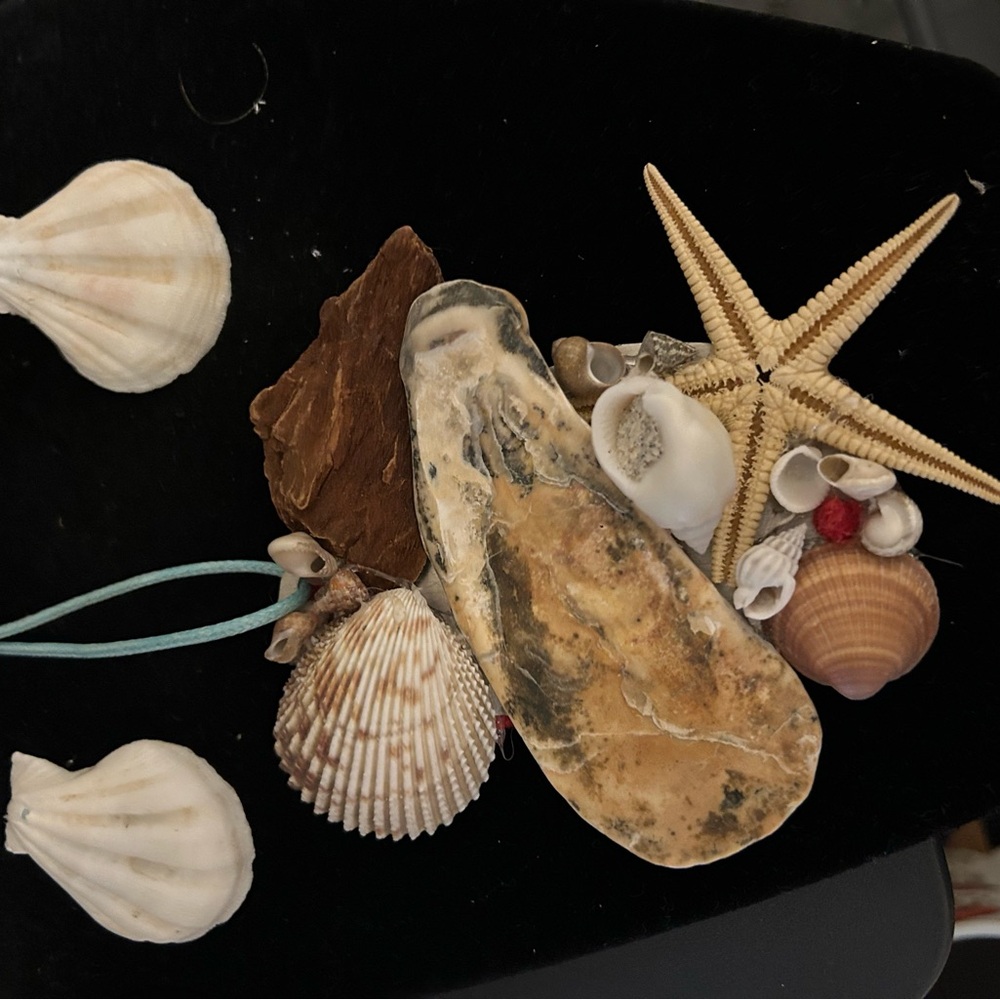 Shell necklaces - Picture 10 of 11